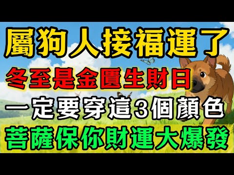 生肖狗必看！明天12月21號冬至，農曆十一月初二是「金匱生財日」，一定要穿這3個顏色，菩薩保你正財橫財大爆發，福氣滿滿！#佛靈禪境#屬相運勢#生肖#家運#生肖運勢的那些事#先知#風水變化#提升運勢