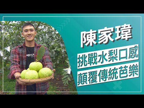 草地狀元-水蜜芭樂青創農夫(2020.04.13播出)