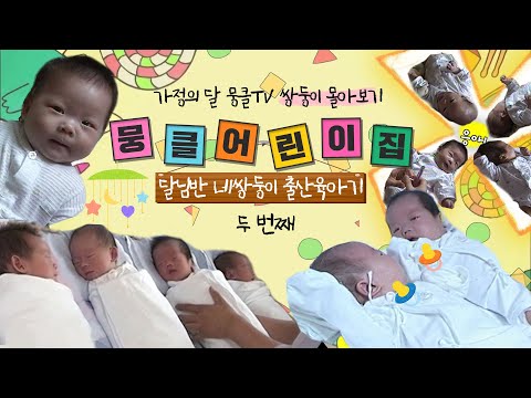 [뭉클 어린이집🐣][달님반🌛#2] 힘들 줄 알았지만, 이렇게 힘들 줄이야! 😥 네 쌍둥이 육아기 | KBS 010910-0914 방송