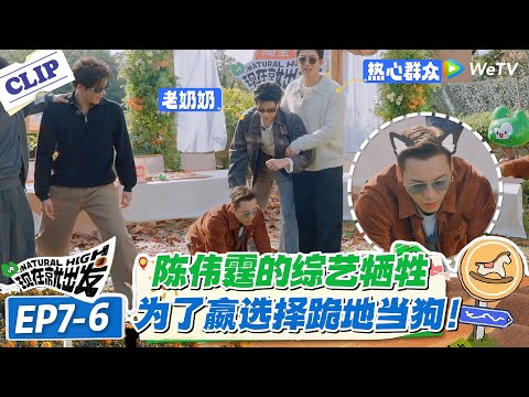 现在就出发 第3季EP7-6:陈伟霆的综艺牺牲!陈伟霆为任务跪地扮导盲犬!还自称是老奶奶家的 “巨型贵宾”!#现在就出发S3 #沈腾 #白敬亭 #王安宇 #金晨 #范丞丞