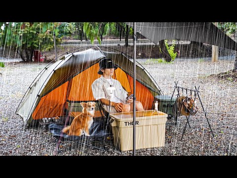 우중캠핑 l 미니멀 세팅으로 강아지와 함께 l 콩국수 & 오징어 부추전 l 솔로캠핑 ASMR l 용가리쌤캠핑장