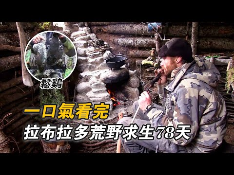 一口氣看完拉布拉多荒野求生78天，狩獵45斤海狸，開發熬煉油脂技能，松雞松鼠吃到膩，搭建純實木豪華庇護所！紀錄片