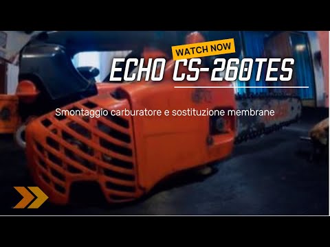 Smonto carburatore Echo CS-260TES