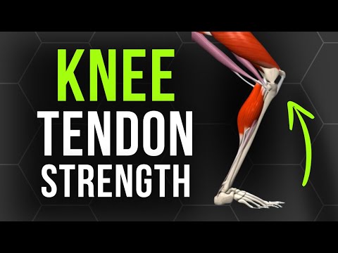 Build Knee Tendon Strength in 5 Minutes