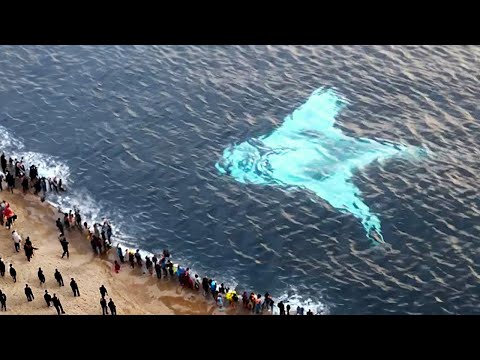 That Was Really Filmed on Camera