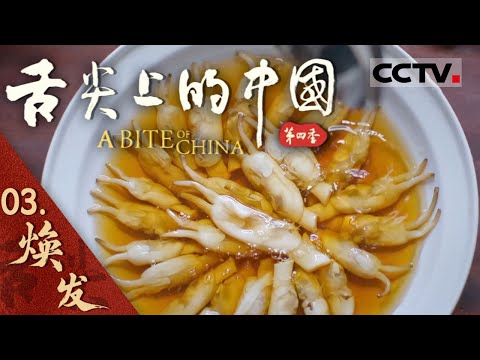 【ENG】《舌尖上的中国 A BITE OF CHINA》Season4 EP03 Vitalize【CCTV纪录】