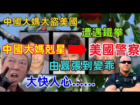 中國大媽，大盜美國，遭遇美國警察鐵拳，國內撒潑打滾，國外變乖就范，結果真是大快人心......