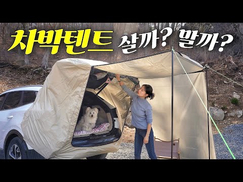 Car Camping🚗 - Sleeping in the car with the dog!