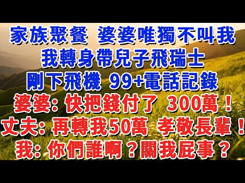 家族聚餐 婆婆唯獨不叫我，我轉身帶兒子飛瑞士，剛下飛機 99+電話記錄，婆婆：快把錢付了 300萬！丈夫：再轉我50萬 孝敬長輩！我：你們誰啊？關我屁事？#小娟講故事 #情感故事 #老年生活