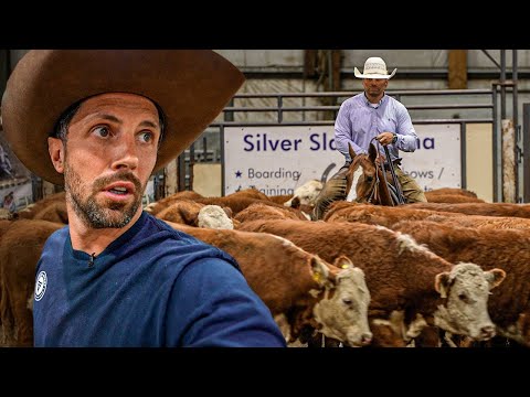 Day in the Life of a Canadian Rodeo Cowboy π¨π¦
