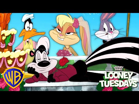 Pepé Le Pew AKA il MAESTRO DEL RIZZ | Looney Tunes in Italiano 🇮🇹 | @WBKidsItaliano