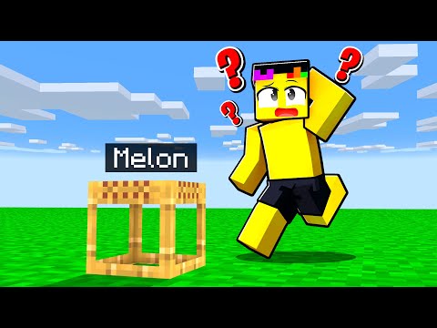 Morphing into BLOCKS in Minecraft Hide and Seek