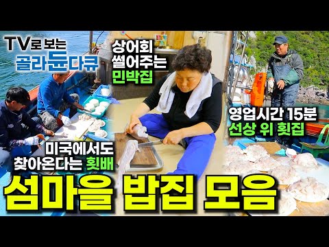 🌊바다가 내어준 각종 해산물로 차려낸 섬마을에서의 한 끼🌊|선상 위의 회 한 접시, 횟배!|밥집 주인이 내 맘대로, 내 멋대로 차려내는 밥집|섬마을 밥집 모음|한국기행|#골라듄다큐