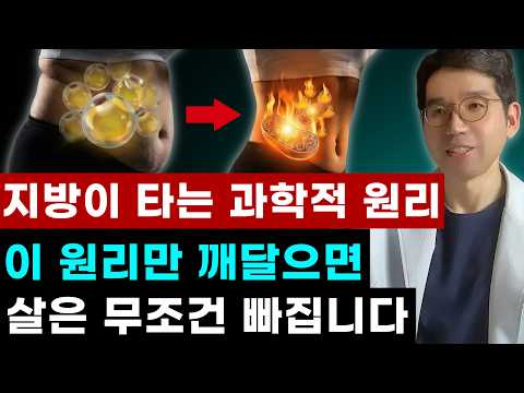 다이어터 98%가 모르는 지방이 타는 원리 | 이걸 몰라서 요요가 반복됩니다