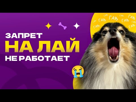 ОТУЧИТЬ СОБАКУ лаять на собак и прохожих, запрет на лай, нельзя гавкать