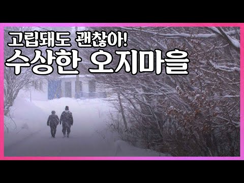 진부령 흘리 오지마을. 고립이 일상이지만 절대 떠나지 않는 주민들 I KBS 2017.02.08 사람과 사람들 방송