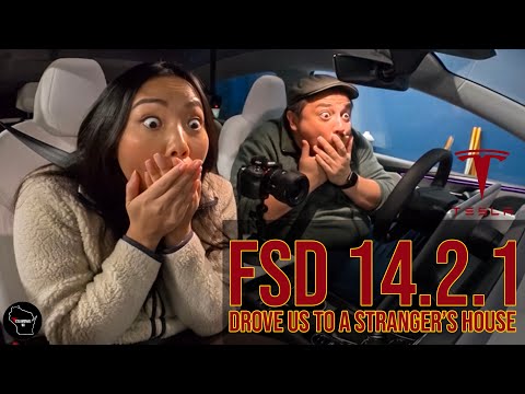 FSD v14.2.1 Review and Reaction