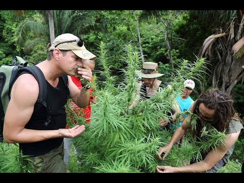 Strain Hunters RAW: Colombia - Behind the scene's with VICE - Part 1