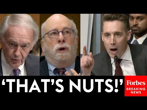 Hawley Absolutely Loses It On Witness Defending Mahmoud Khalil, & Even Ed Markey's Comments 'Insane'