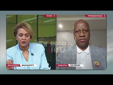 Ntuli criticises MK Party for legislature chaos