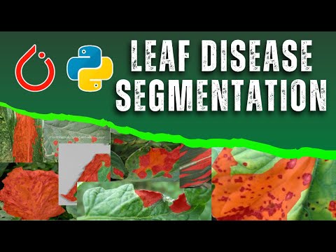 Image Segmentation | Leaf Disease Detection with U-Net (ResNet34)