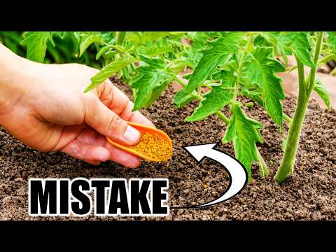7 Fertilizer Mistakes That RUIN Your Vegetable Garden