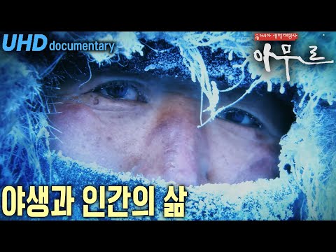 [UHD 명작 다큐] 동아시아 생명대탐사 아무르 Amur 1부 - 초원의 오아시스 (KBS 20110406 방송)