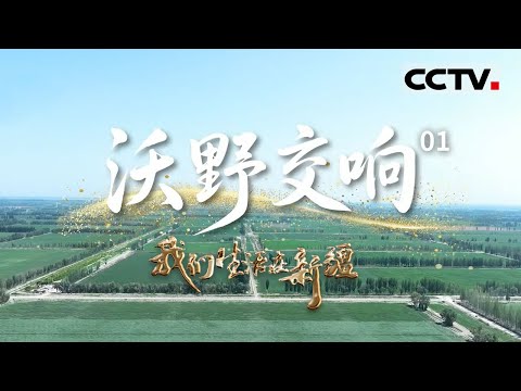 《我们生活在新疆》01 沃野交响：比利时人丹尼在新疆的逐梦 从盐碱地到智慧农业【CCTV纪录】