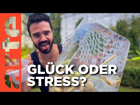 Macht Kochen glücklich? Zwischen Stress, Genuss & Kultur | Twist | ARTE