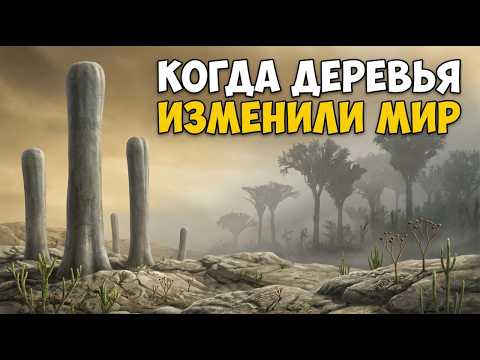 HOW TREES CHANGED THE WORLD? The story of the first forests and the oxygen explosion