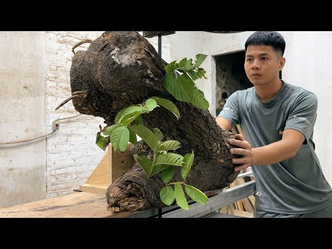 Amazing Craft Woodworking Products // The Young Carpenter's Skillful Skills And Perfect Masterpiece