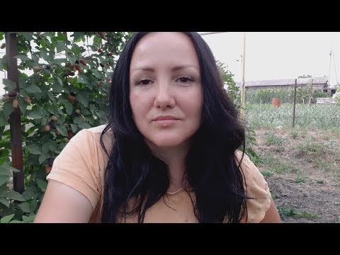 Blackberry Karaka Black is the earliest variety of large-fruited blackberry. My favorite