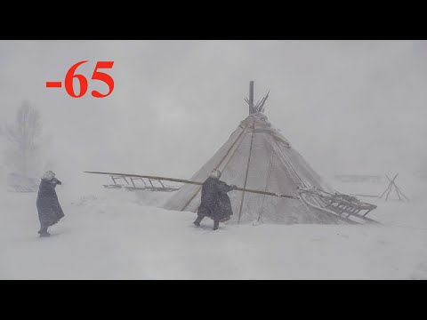 How do people survive in the Arctic tundra. Northern Russia. Reindeer herders nomads