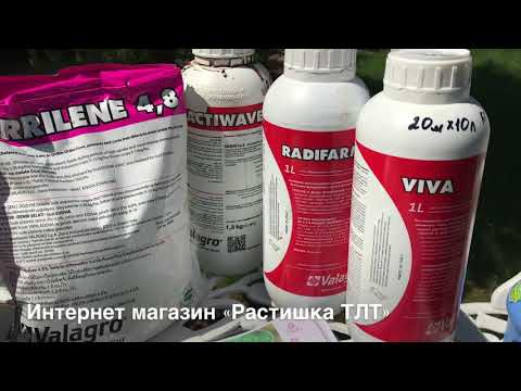 УДОБРЕНИЯ ДЛЯ РОЗ.  МИКРОЭЛЕМЕНТ БРЕКСИЛ.