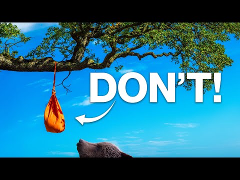 STOP Hanging Bear Bags