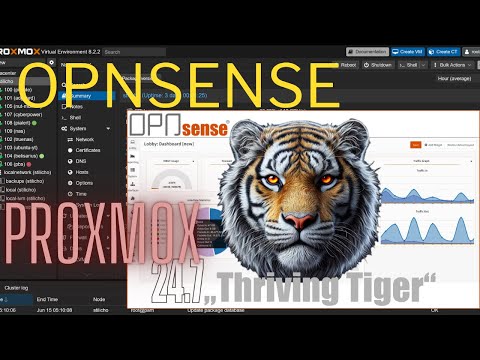 Подробное описание начальной настройки OPNsense с нуля