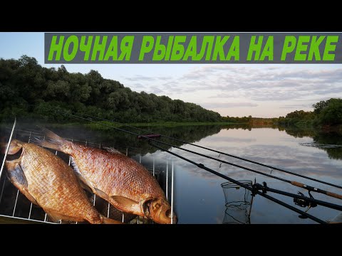 НОЧНАЯ РЫБАЛКА НА РЕКЕ. Ловля на фидер. Копченый лещ