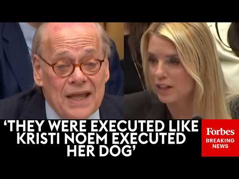 WATCH: Steve Cohen Confronts Pam Bondi Over 'Execution' Of Alex Pretti And Renee Good