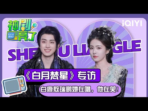 【专访】白鹿新剧《白月梵星》突破自我 敖瑞鹏直言角色和本人差别很大 | 神剧亮了💡| iQIYI潮综艺