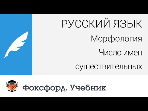 Русский язык. Морфология: Число имен существительных. Центр онлайн-обучения «Фоксфорд»