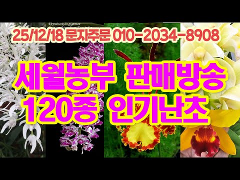 세월농부 120종 판매방송 카틀레야 대륜 특집방송