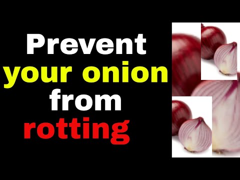 How to Prevent Onions From Rotting