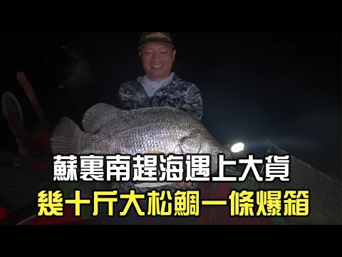Exciting! A huge catch while beachcombing in Suriname – a massive bream weighing dozens of kilogr...