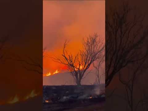 Multiple wildfires and brushfires burn across 65,000 acres in Texas panhandle