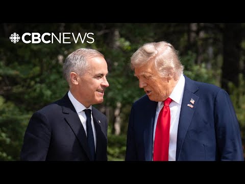 Canada needs a resolution to tariffs, ‘but not at all costs,’ Erin O’Toole says