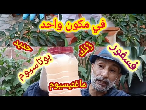 ( لتقوية الجذور وكثرة التزهير ومجموع خضري وحجم ممتاز ) بمكون طبيعي واحد هتغير شكل نباتاتك فى أسبوع