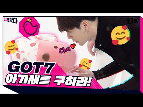 [ENG SUB] GOT7 왕자님, 아가새를 구해줘!! [보았다 ; BOATTA 10화 갓세븐]