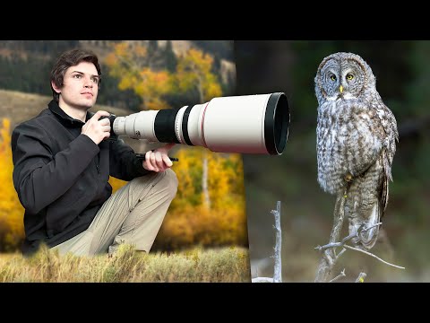 I Spent Autumn Photographing Wildlife in Yellowstone