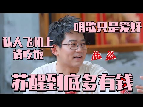 #苏醒 请0713兄弟去私人飞机上吃饭？#王铮亮 #王栎鑫 秒懂 ！  | 朋友请吃饭