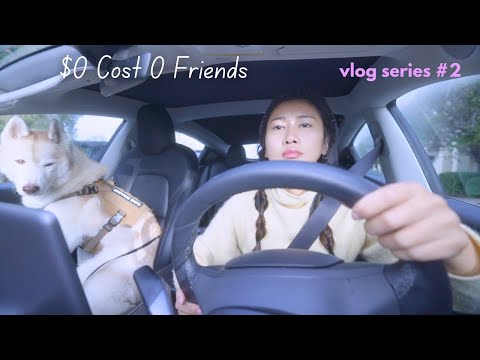 $0 Costs 0 Friends, my life as a Silicon Valley Software Engineer living in a car | Hannah’s Diaries